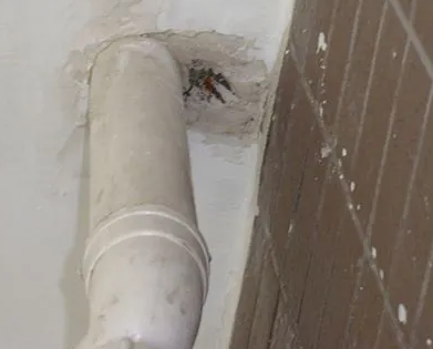 绵竹漏水检测哪家好